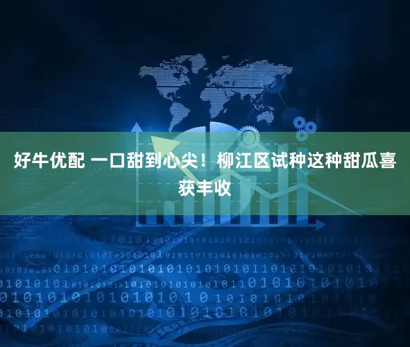 好牛优配 一口甜到心尖！柳江区试种这种甜瓜喜获丰收