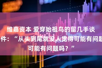 维嘉资本 爱穿始祖鸟的留几手谈烟花事件：“从头到尾就没人觉得可能有问题吗？”